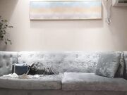 小宝寻花约jk装萌妹子骑身上调情沙发骑坐后入猛操呻吟