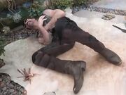 铁杆梦中的阿里拉费雷拉