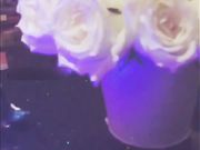 高颜值性感翘臀美女KTV包厢过生日喝多了偷偷扣逼逼