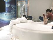 3000高价外围小姐姐美乳翘臀大长腿抽插