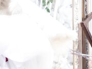 极品Cos爆机少女【喵小吉】双子最强冰雪组合原神花嫁+甘雨优菈