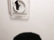 保时捷车模为赚钱下海被炮友各种操小背心哪吒头