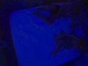 酒店水滴摄像头监控TP貌似很有学问的大学生情侣开房PP她们的另一半是手机吧