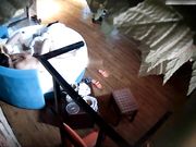 肚腩胖哥与马尾辫苗条妹子开房啪啪白嫩小美女很主动很骚浪贱呻吟声特别大干了好几炮