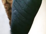 户外姐妹 今天大家在饭店聚餐 我在桌子下面给哥哥口爆 妹妹想要弟弟不给力