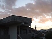 為了家庭老師的可憐 獎勵舌吻跟中出1