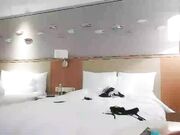 KTV唱歌偶遇的女神级高挑性感美女 勾搭了一段时间 情趣女仆装爆插