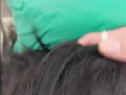 一场车祸引发的性交易