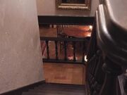 无论是作为性处理宠物还是肉体玩偶3