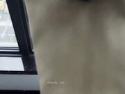 落地窗前猛干大屁股骚货