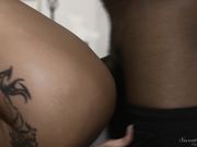 Black Widows Prey 黑寡妇的猎物