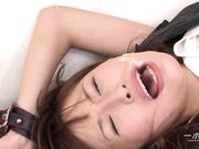 「モデルコレクションの選択.104 ポップ」