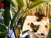 自然房大学生情侣抽空开房啪啪啪