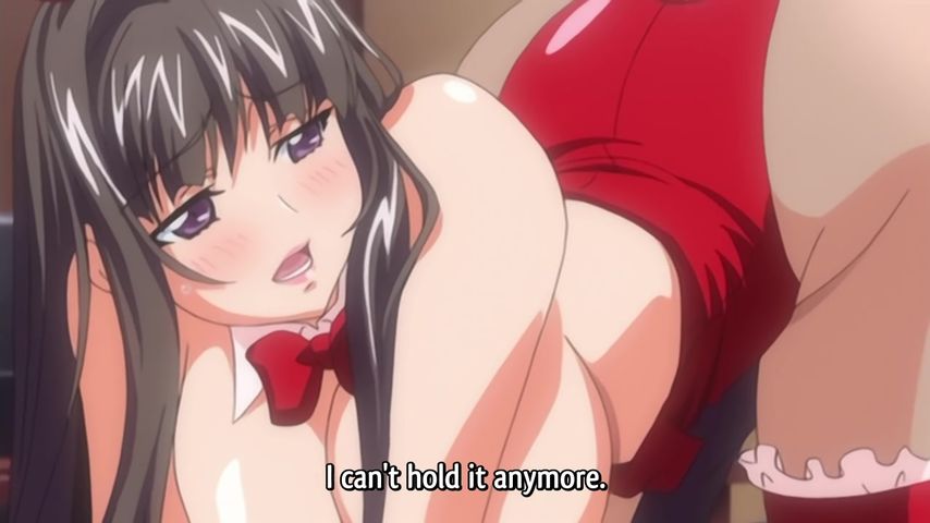 びきゃく せいど かいちょう あい