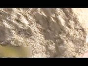 妹子野战按摩棒爽完后再被后入