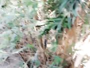 晨起公园搭讪性感美女打野战