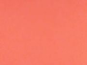 大粗黄瓜加玻璃瓶子玩虐骚逼