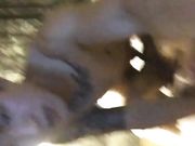 猛男约操妹纸人美逼嫩连操两炮