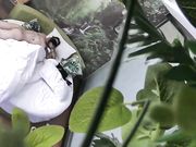 强行操完后第二次竟主动配合