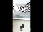 高颜值网红鹿少女剧情演绎-将熟睡中的她各种挑逗出白浆