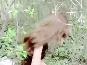 混血妞第九季户外偷情珍珠内裤勒的逼好舒服撅着屁股挨草