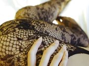 全裸诱惑自摸揉穴自拍受不了太欠操了秋秋唯美私拍刮毛扣穴