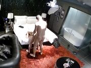 情侣套房造爱把沙发推一边腾出地方干搞的很疯狂