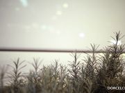 办公室里三个制服美人的性玩具