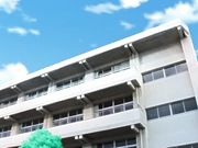 可爱又純情的少女