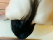 约炮单位财务部毕业生出纳妹奶子坚挺够大吃JJ很仔细