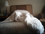 酒店爆操巨乳翘臀的魔鬼身材平面模特,性感漂亮叫起床来特淫荡