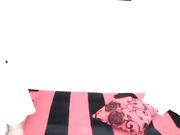 双人啪啪秀 跳蛋道具JJ抽插口交上位骑乘