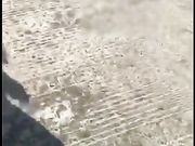 国产迷奸系列渣男主播演绎请贪吃女同事吃大餐往饮料里下药去酒店开房啪啪