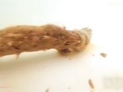 还是人家有创意会玩儿 漂亮美眉浴缸内全裸拉大便观察 不知道想证明什么 口味轻者别看