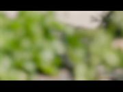 情窦初开的少女等待男友来爱抚