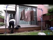 婚姻难以继续的原因原来是老婆出轨