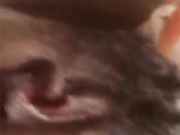 高颜值网红脸美少女收费大尺度宣传自拍终于傍上土豪被狠狠的插入呻吟声痛并快乐着还说轻点儿