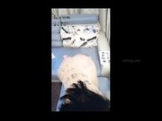 『私人玩物』主人的豪乳女仆淫语呻吟独享淫荡专用