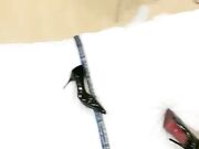 御姐女神宾馆约啪，给男友深喉大鸡巴，各种姿势无套抽插内射中出