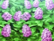 回复术士的重启人生 - 第3集