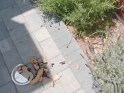 淫荡老婆的快乐生活 体验丈夫以外男人的肉棒06